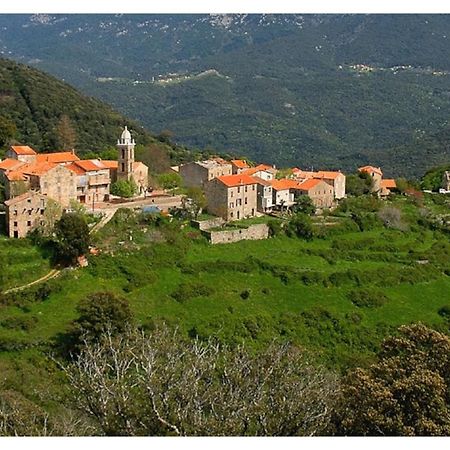 Casadimela Villa Porto-Vecchio  Luaran gambar