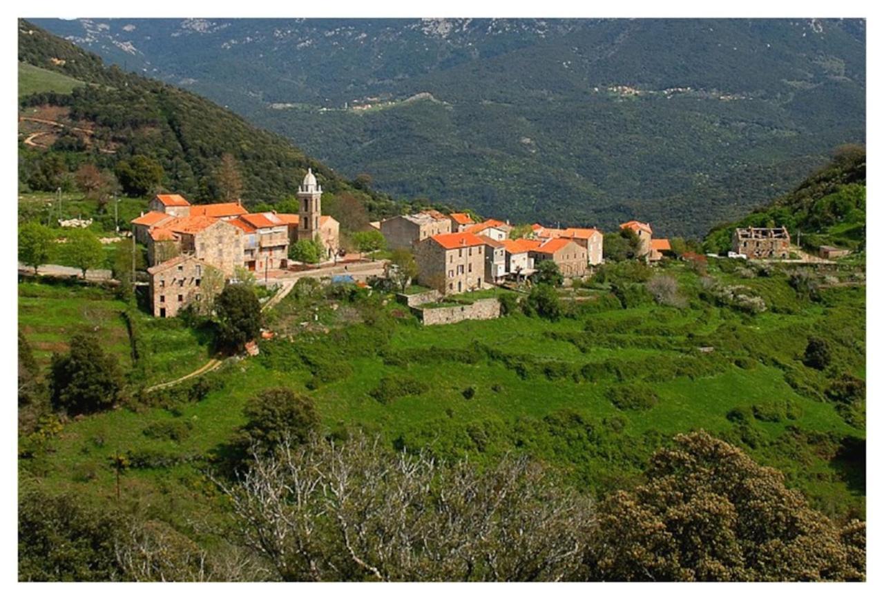 Casadimela Villa Porto-Vecchio  Luaran gambar
